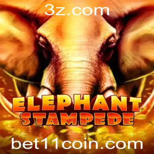 bet11 Casino Withdrawal